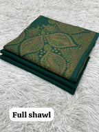 Winter Kurta Set with Embroidered Kashmiri-Style Shawl